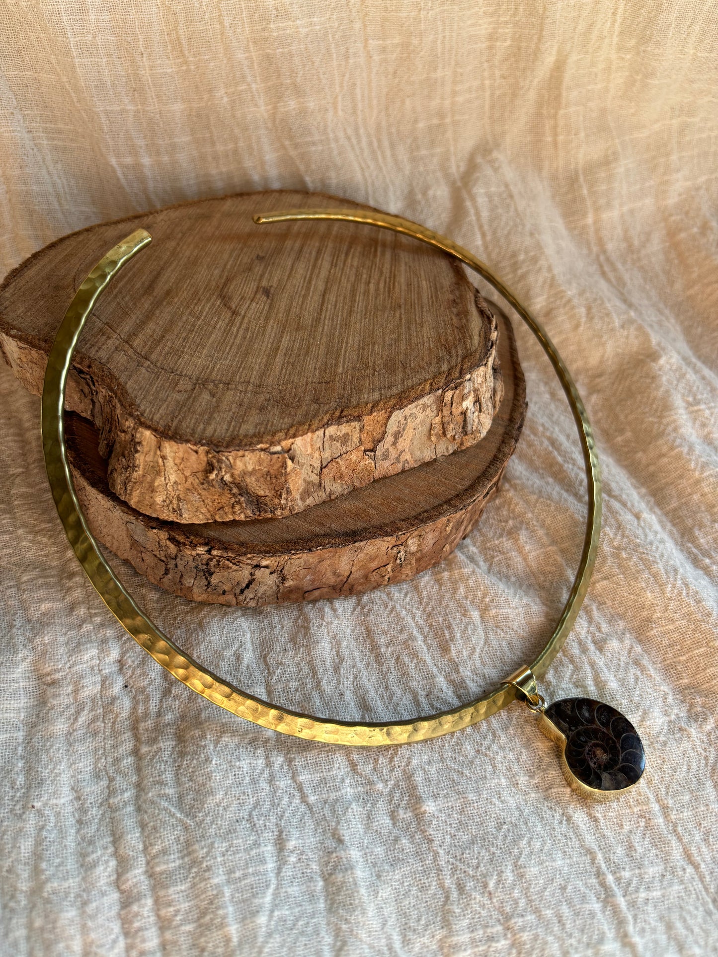 Ammonite Pendant Choker - Small