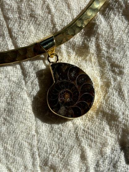Ammonite Pendant Choker - Small