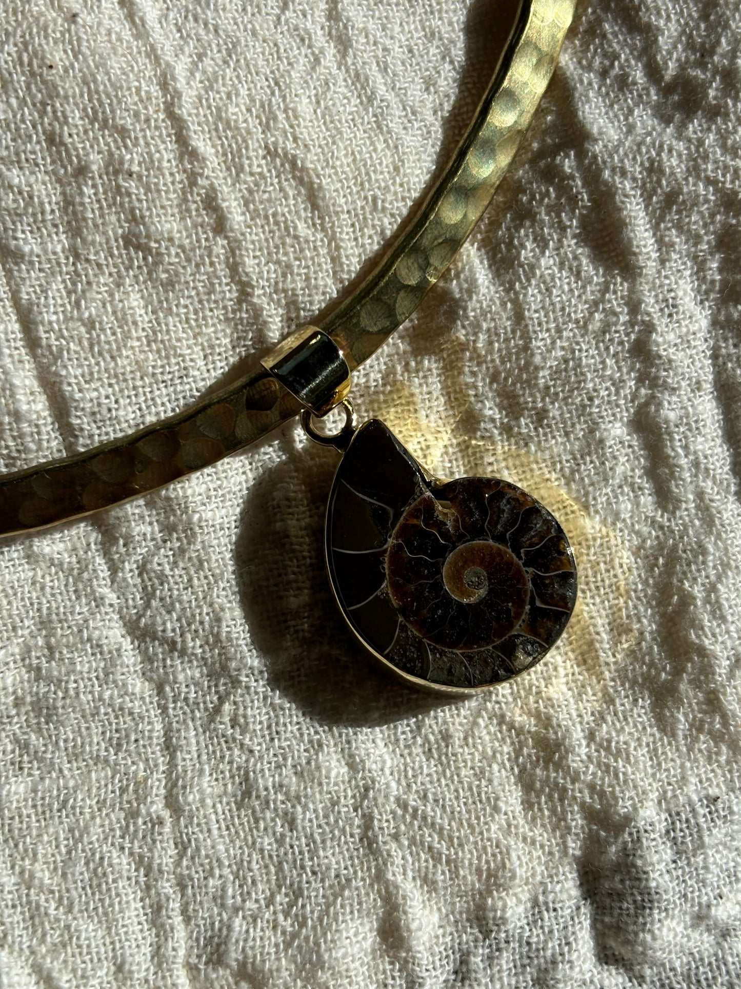 Ammonite Pendant Choker - Small